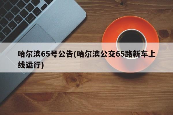 哈尔滨65号公告(哈尔滨公交65路新车上线运行)