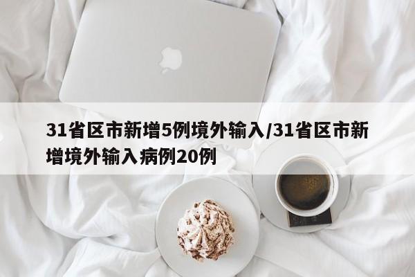 31省区市新增5例境外输入/31省区市新增境外输入病例20例