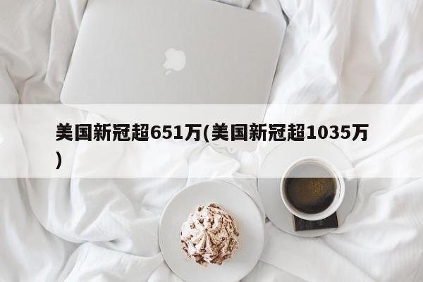 美国新冠超651万(美国新冠超1035万)